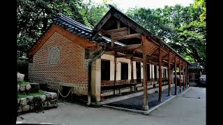 Sarah Morran - Vincent