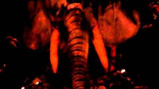 TOBY KEITH - Pre Party & Allys House Raffle Rain Forest Cafe AC NJ