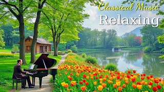 50 Emotional Classical Piececs That Touch the Heart | Mozart, Beethoven, Chopin, Bach, Tchaikovsky