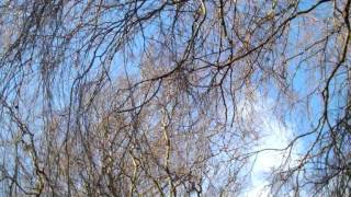 Sunday After the Thaw