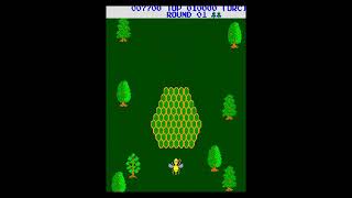 Funky Bee 🐝 1982 Arcade 