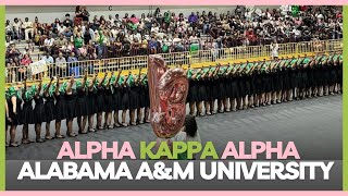 Gamma Mu chapter of Alpha Kappa Alpha at Alabama A&M University - Spring 2024 Probate