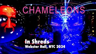 The Chameleons: In Shreds, Webster Hall 2024