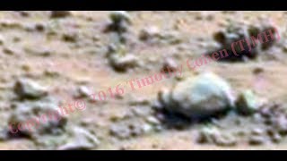 PROOF of a) Non-Terrestrial Life on Mars, and b) WE HAVE ALREADY BEEN TO MARS