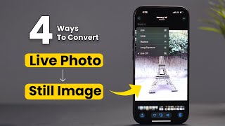 4 Ways to Convert Live Photos to Still Images on iPhone
