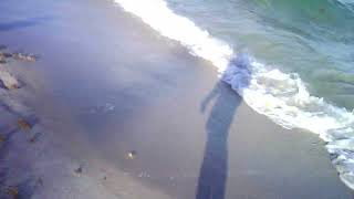 BEACH DAY BRO AT FORT LAUDERDALE BEACH