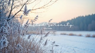 Frosted Serenity: A Peaceful Winter Piano Escape at Sunrise ❄️🎹