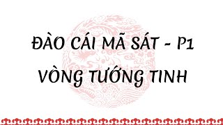 [TỬ VI "THỰC"] Đào Cái Mã Sát Phần 1 - Hình thành vòng tướng tinh