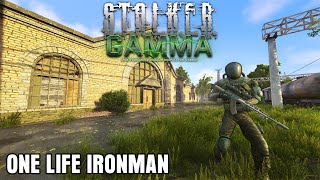 THE KING IS BACK...WITH MANY MODS - GAMMA ONE LIFE IRONMAN