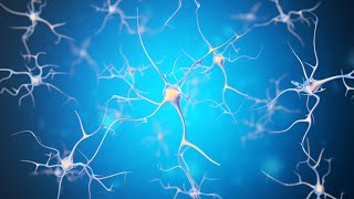 Sounds to calm nervous system ⭐ music to activate parasympathetic nervous system ⭐