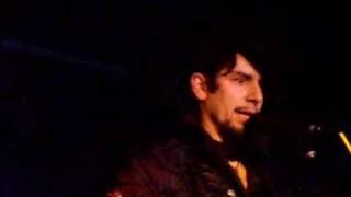 Voltaire - Brains Live