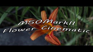 M50 Mark II Flower Cinematic.