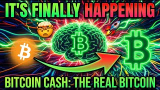 Lofi Bitcoin Cash: The Soundtrack for the Real Digital Money Revolution