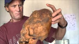 Possible Alien Skulls Explained