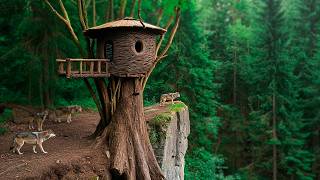 Building Shelter in a Tree House on the Edge of a Cliff, Solo Bushcraft / King Of Satyr