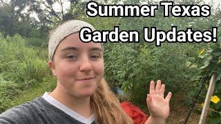 Exciting Late Summer Updates from the Texas Garden!