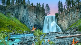Most Beautiful Relaxing Music, Vol. 7 ~ Piano, flowing streams, birds singing, Rain falling