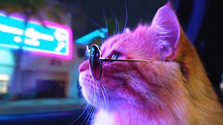 Cat Adventure✦ Cruising Miami in Retro Car🚗 80s Disco & Miami Vice Vibes🌴 Travel Music Video