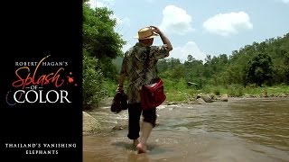 Splash Of Color - Thailand's Vanishing Elephants