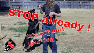 Three Things Every Dog Should Know