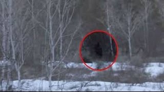 Finding bigfoot
