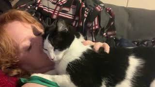 Super Relaxed Kitten