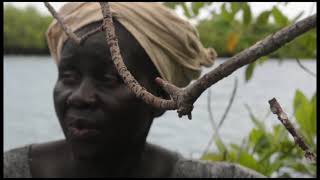 Sea level rise in Banjul - COP26