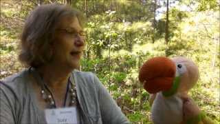 Sammy Interviews Suzy McGinley - CSLP 2013