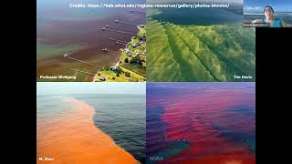 Bioluminescence to Invasions: The Fascinating World of Phytoplankton