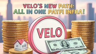 VELO: ALL IN ONE PAYFI INFRA! | The Deeper Dive