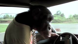 Mitä helvettiä nyt taas - Tässä kylmässä kaupungissa