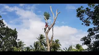 Malapit Mabagsakan Ang bahay