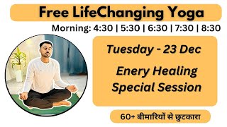 🔴 Free Live Yoga Live - Energy Healing Yoga & Meditation | Morning- Subhash Yogakro Live