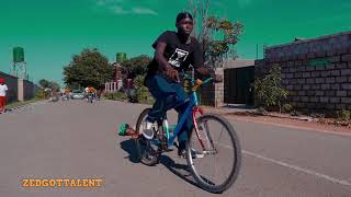 Mastering the Art A Deep Dive into the World of Professional Bicycle Stunts