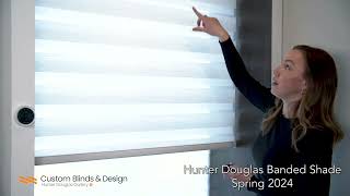 Hunter Douglas Banded Shade