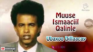 Muuse Ismaaciil Qalinle | ubaxoo dilaacaay | Original qaraami #qaraami #heesmacaan #somali