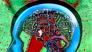 Inamorata - The Attic In Your Brain