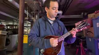 Mandolin Mondays 2021, week 17: Crested Hens