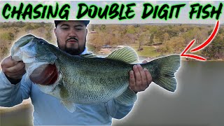 This SMALL Lake is LOADED w/ DOUBLE DIGIT Bass! (Spring Fishing)