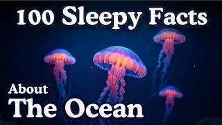 100 Ocean Facts to Fall Asleep To — Dreamy Science