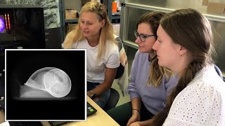 Welcome to the new colleagues at ADVACAM!