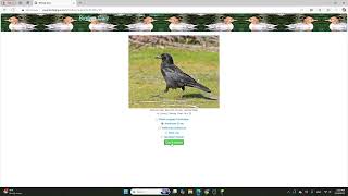VOD 5 birds and minecraft and NO homework allowed