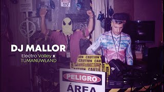 EDM & Melodic Mix / Dj Mallor / Electrum Valley