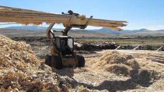 Tipi Poles From Nomadics Tipi Makers