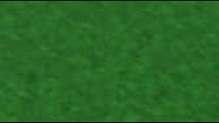 shugabush.mp4