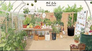 Mid-July Great Summer Reset: Harvesting, Preserving & Planting a No-Dig Garden | UK Garden Diary