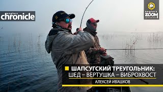 Шапсугский треугольник: шед – вертушка – виброхвост. Алексей Ивашков. Anglers Chronicle
