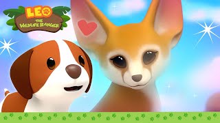 Love at First Sight?! ❤️ It's Hero Time | BRAND NEW SERIES | Leo the Wildlife Ranger | Kids Cartoons