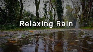 Relaxing Rain | 1 Hour | Relaxing House