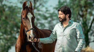 GAMAN SANTHAL 2021 LIVE GARAB DJ GARBA NON STOP GARBA